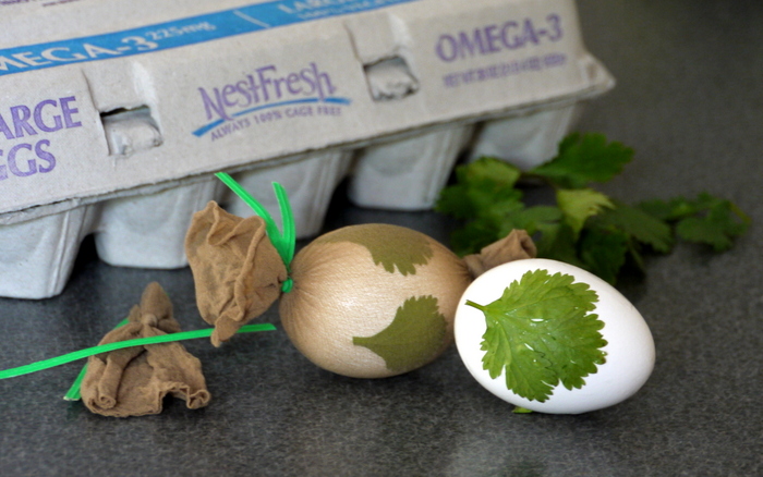 Carton of eggs with 2 eggs in front with vegetation on them 