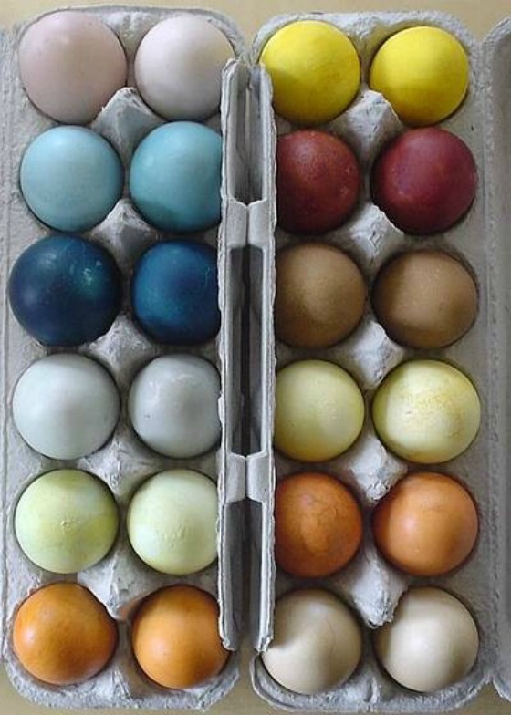 Colored eggs in blue, red, yellow, and brown