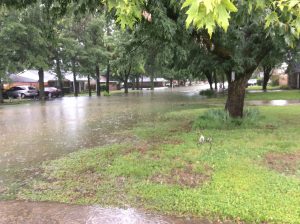 memphis flooding